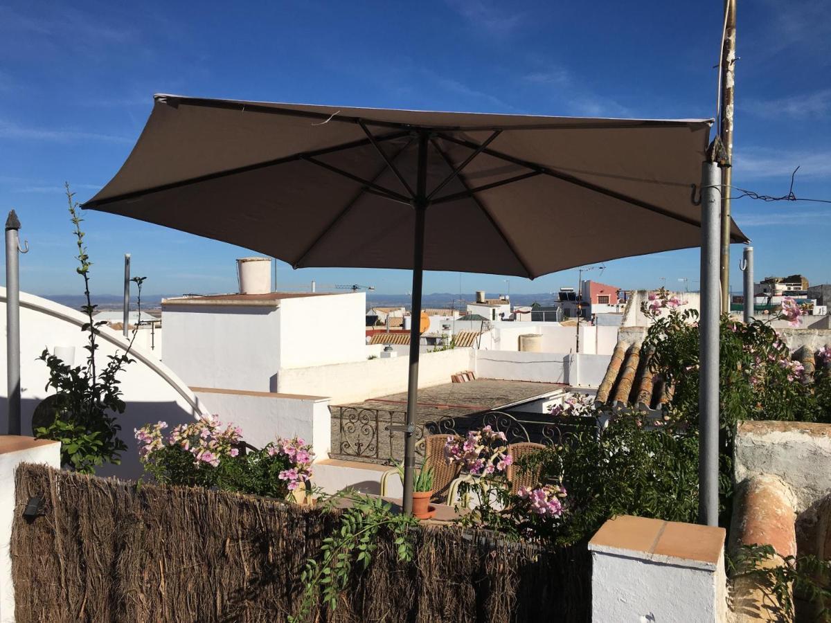 Villa Casa en pleno centro EL LEÓN BLANCO 6 personas con chimenea Carmona  Exterior foto