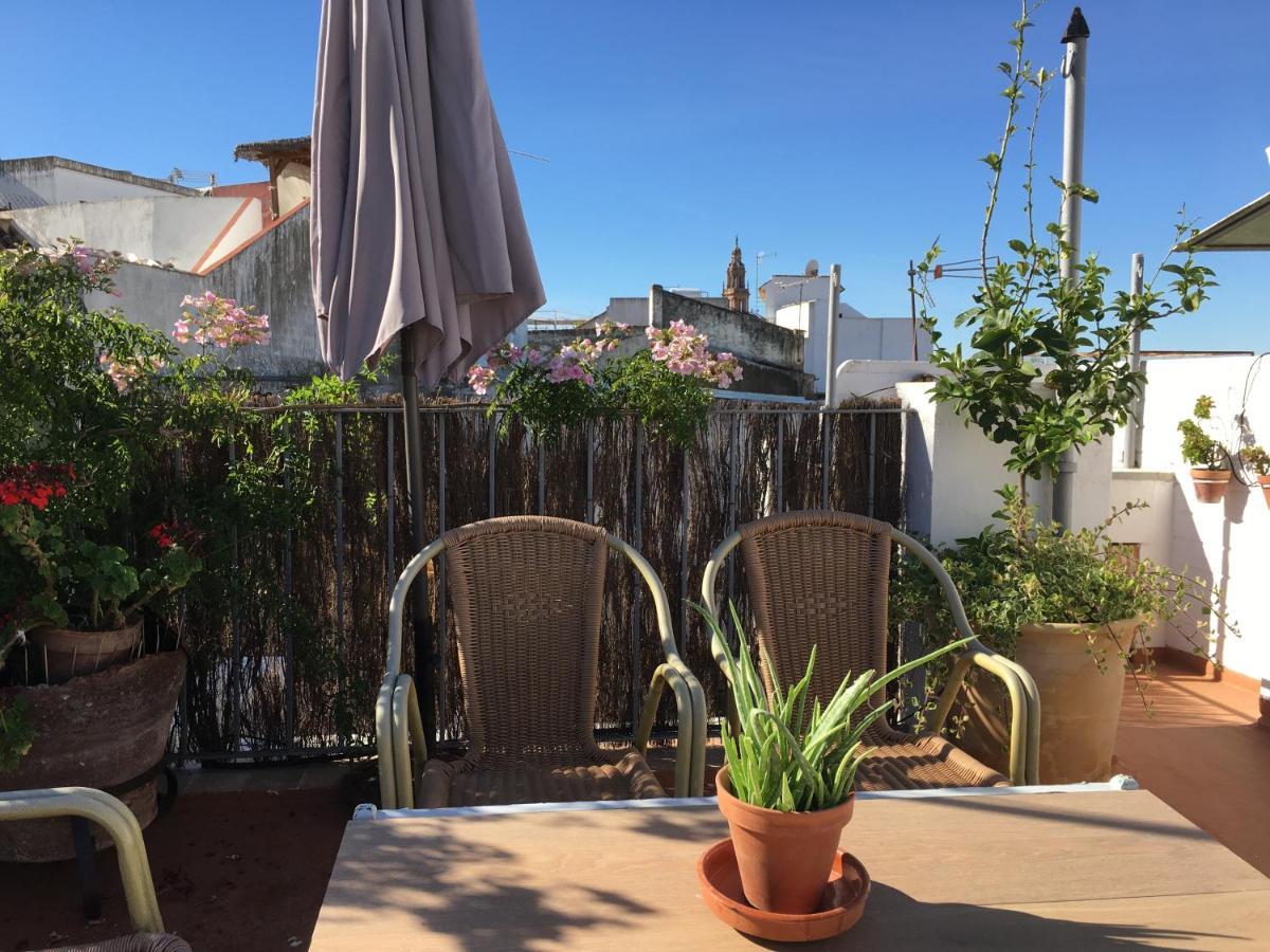 Villa Casa en pleno centro EL LEÓN BLANCO 6 personas con chimenea Carmona  Exterior foto